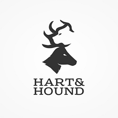 LOGO branding design graphic design illustration typography vector