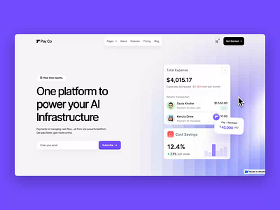 Payco- SAAS Website Design landing page saas saas landing page saas marketing landing page saas web saas website saas website design software marketing website website design