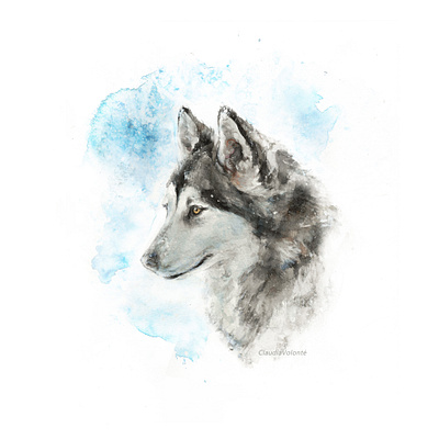 Siberian Husky animal children illustration siberian husky snow stationery illustration traditional art watercolor wild wildlife illustration winter illustration